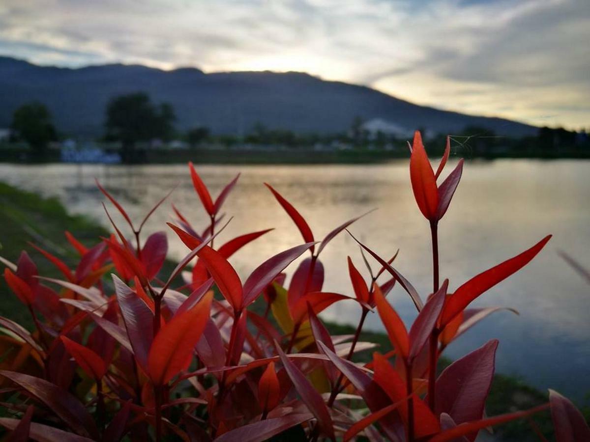 Green Lake Resort - Sha Extra Plus Certified Chiang Mai Eksteriør bilde